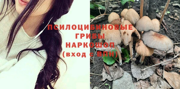 гашик Белокуриха