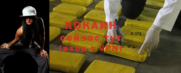гашик Белокуриха