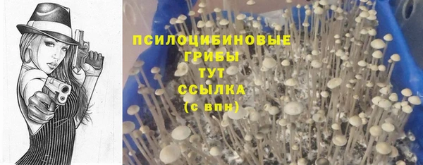 apvp Беломорск