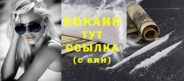 гашик Белокуриха