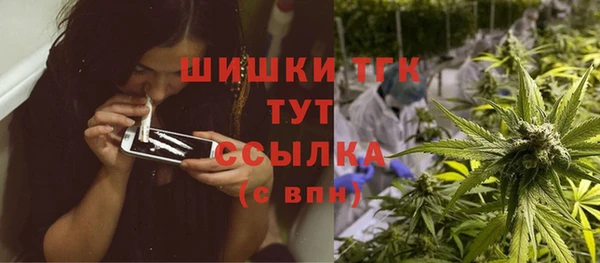 гашик Белокуриха